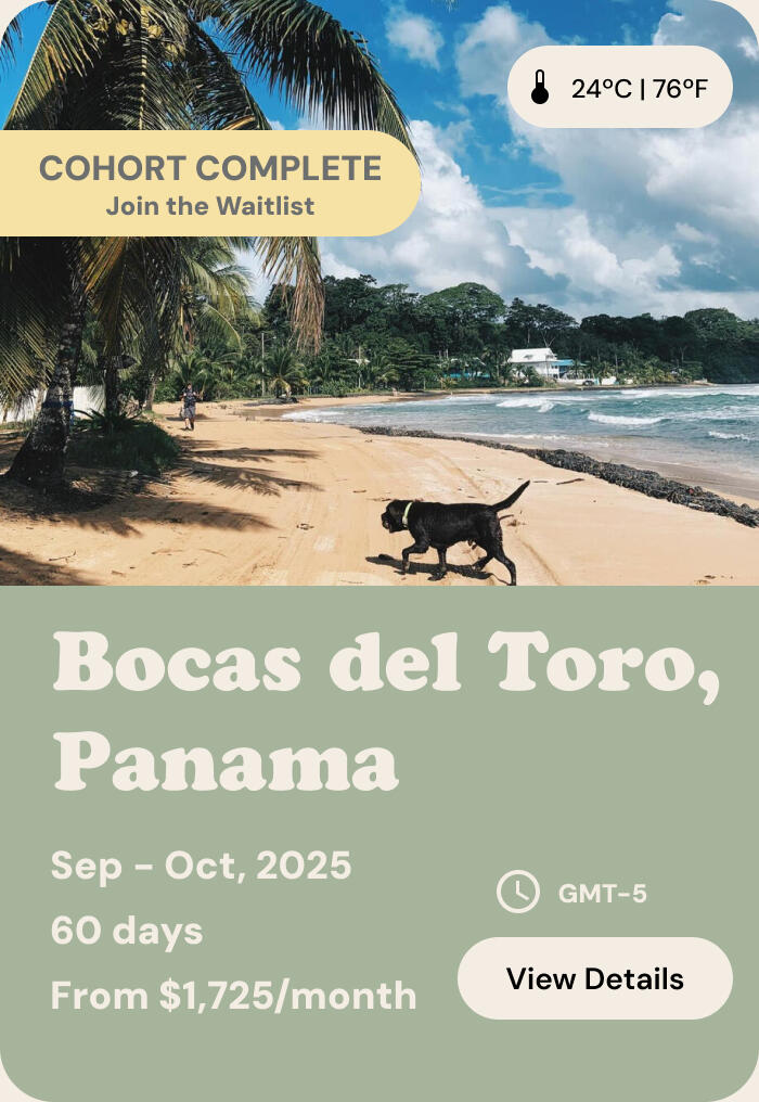 Cohli x Casa De Mono