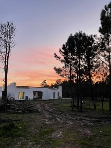 Whitewashed houses at sunset on the property