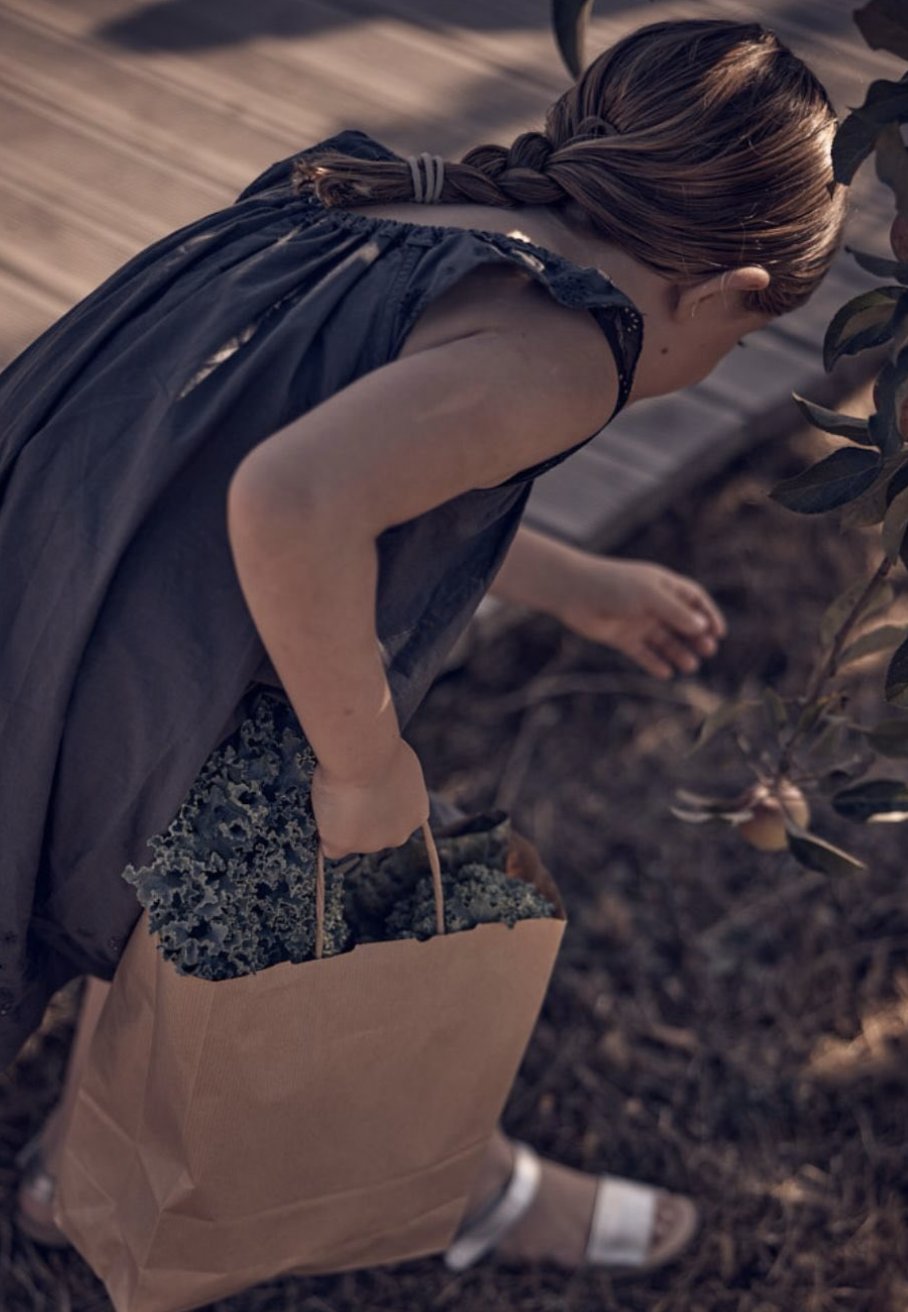 Harvesting greens from the gardens