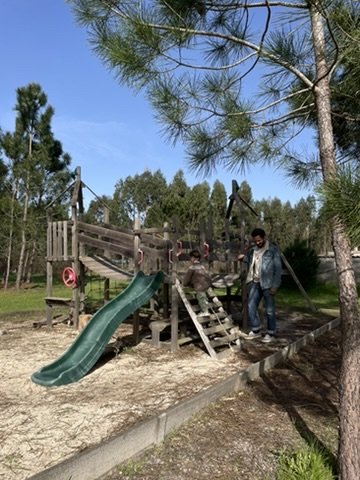 Wooden playground tucked into the pines
