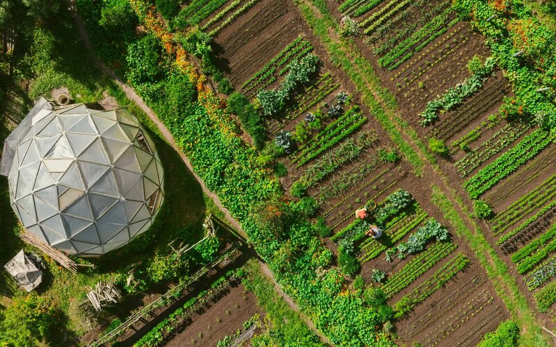 Permaculture garden and villas at Areias do Seixo eco-retreat, Portugal