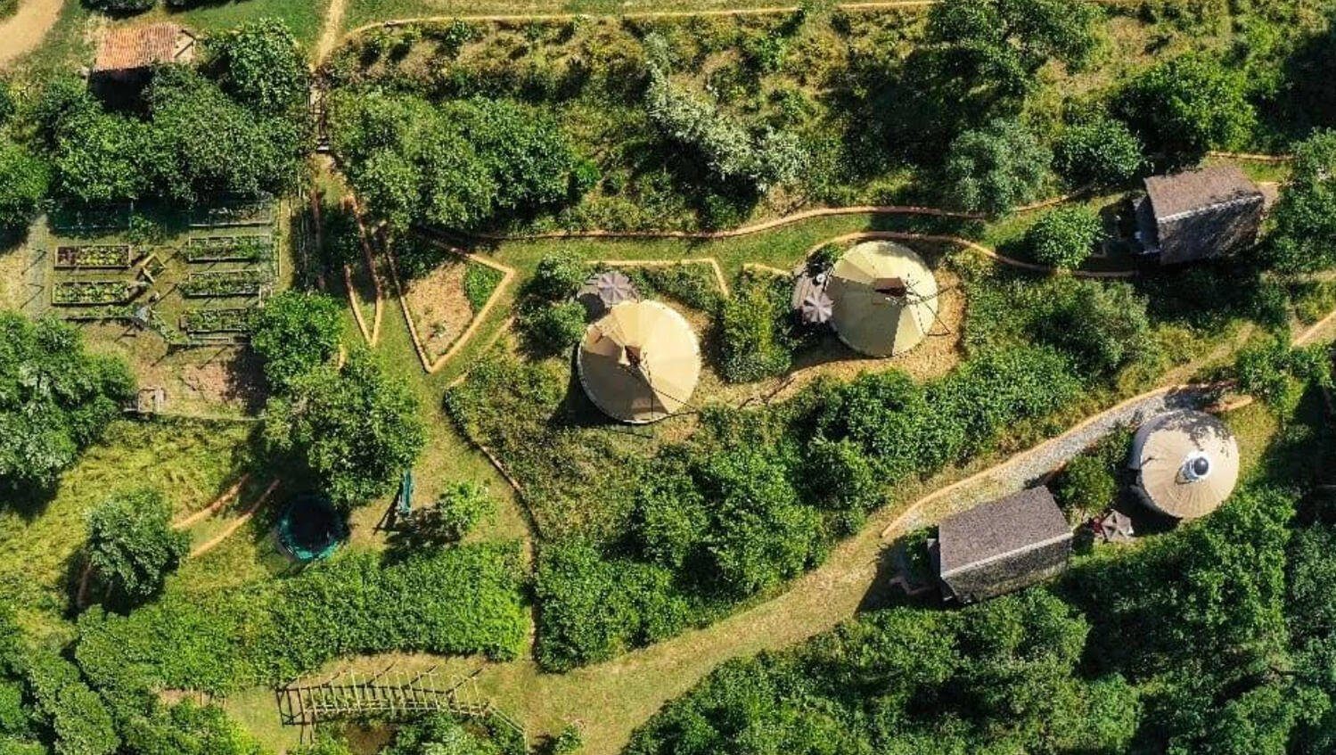 Aerial view of Aterra yurts and cabins in the forest
