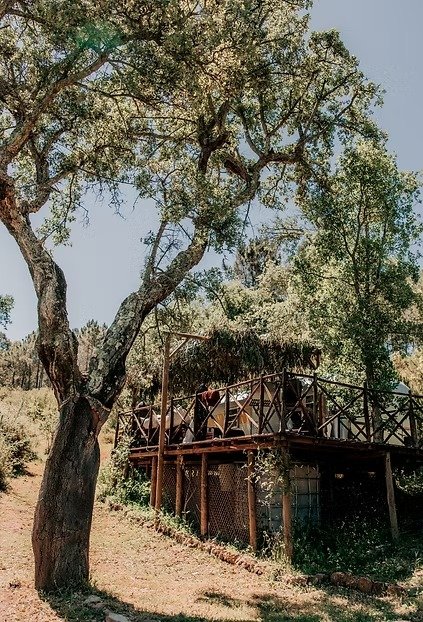 Aterra ecological retreat in Portuguese woodlands
