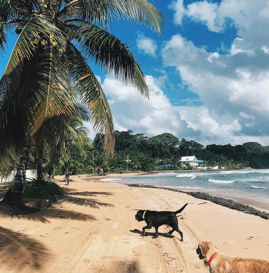 Casa de Mono family coliving in Bocas del Toro
