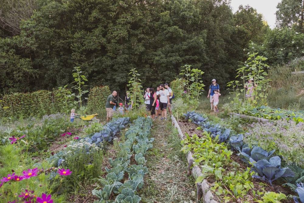 Vegetable garden rows at Cerdanya Viva with people walking the paths