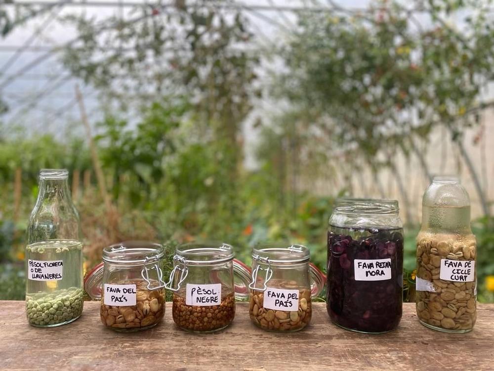 Glass jars of local seeds and preserves labelled by hand at Cerdanya Viva